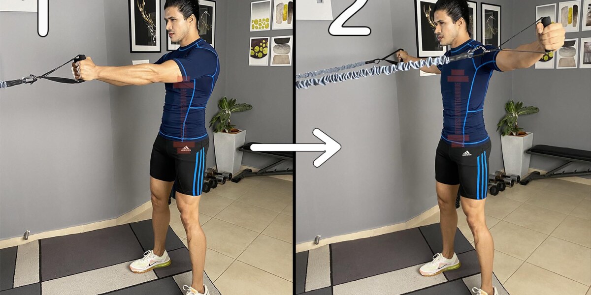 Reverse Fly With Resistance Bands