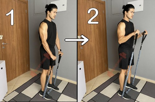 Reverse Biceps Curls With Resistance Bands