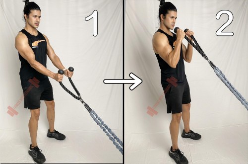 Standing Rope Hammer Curl with Resistance Bands (Anchor)