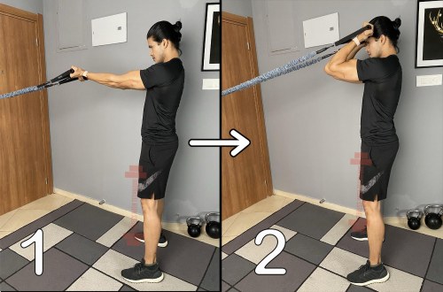 Standing Biceps Curl With Bands (Arms Up)