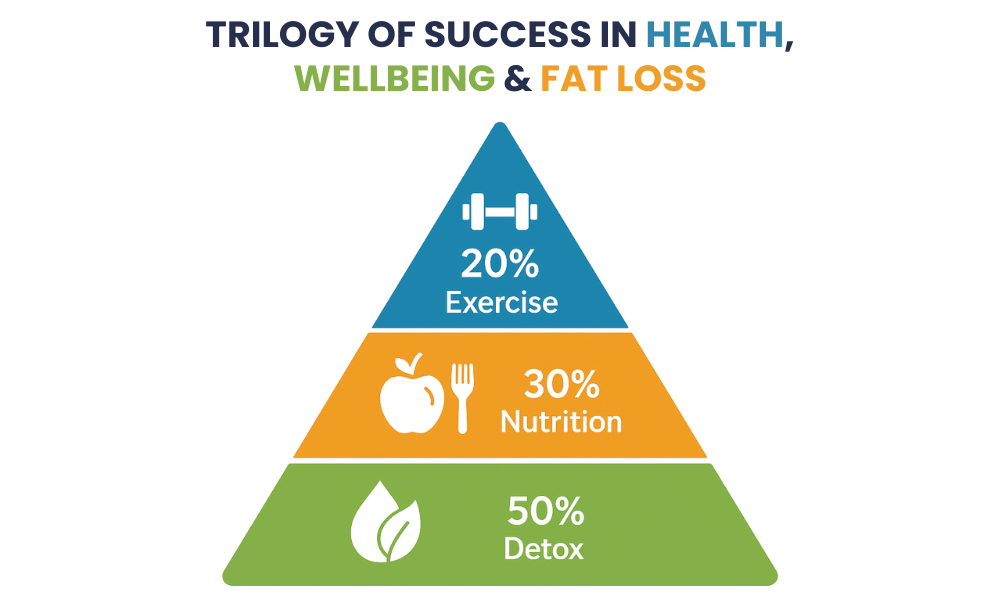 Triology of Success in Health Wellbeing & Fat Loss Journey